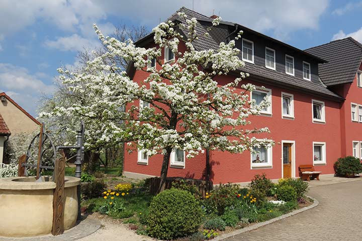 Pension am Krausenbach in Wolfsdorf